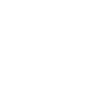 icon customer experience white