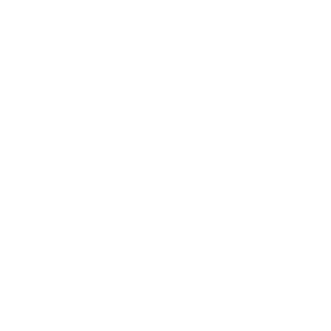 icon service management white