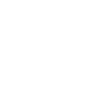 icons fast setup