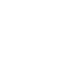 icons integrated payment processing