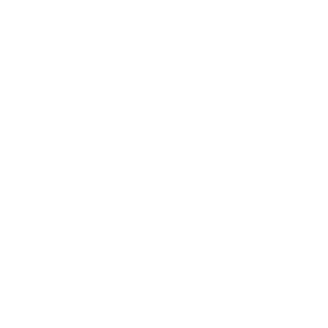 icons local seo