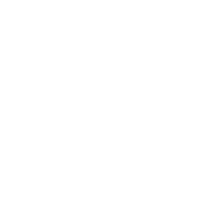 icons lower fees