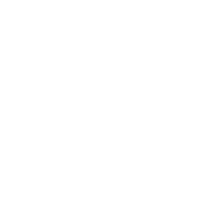 icons premium websites