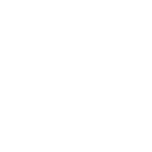 icons simplified reports