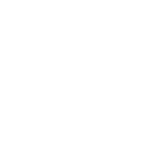 icons versatility