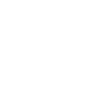 pma icon cloud based white
