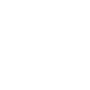 pma icon simplified reporting white