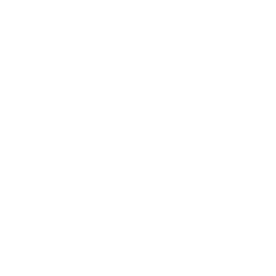 invoice icon